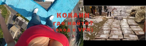 сатива Армянск