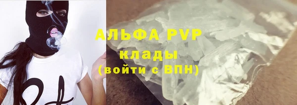 ПСИЛОЦИБИНОВЫЕ ГРИБЫ Аркадак