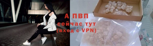сатива Армянск