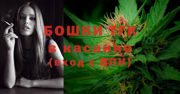 сатива Армянск