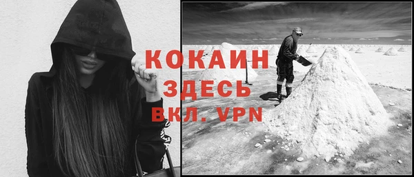 сатива Армянск