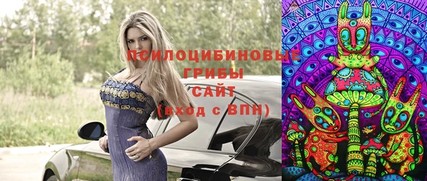 МДПВ Арсеньев